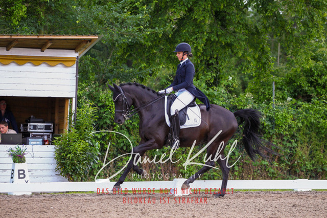 DKP41683 | Deine Turnierfotos vom Reitturnier online kaufen: Dressur, Springen & Siegerehrung. Professionelle Pferdefotografie aus dem Rheinland – als Download & Print.Alternative: Turnierfotograf für den Pferdesport: Finde deine Fotos von Dressur- und Springturnier