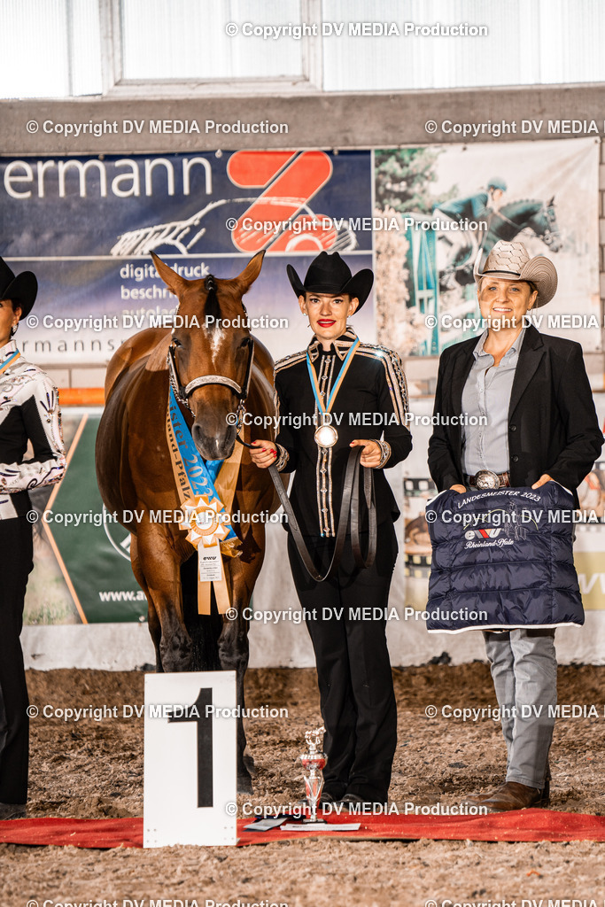 ZH100080 | dv-media-shop - Realisiert mit Pictrs.com