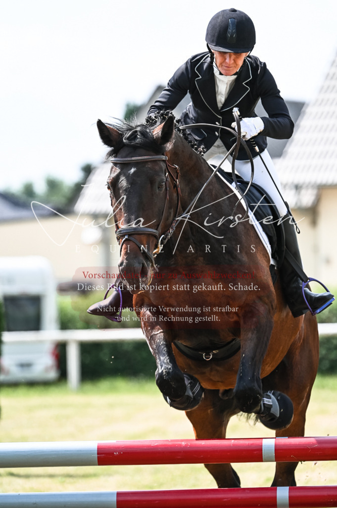 DSC_8881 | Pferde- und Turnierfotografie in Westsachsen. Pferdeportraits, Auftragszeichnungen und intuitive Kunst.