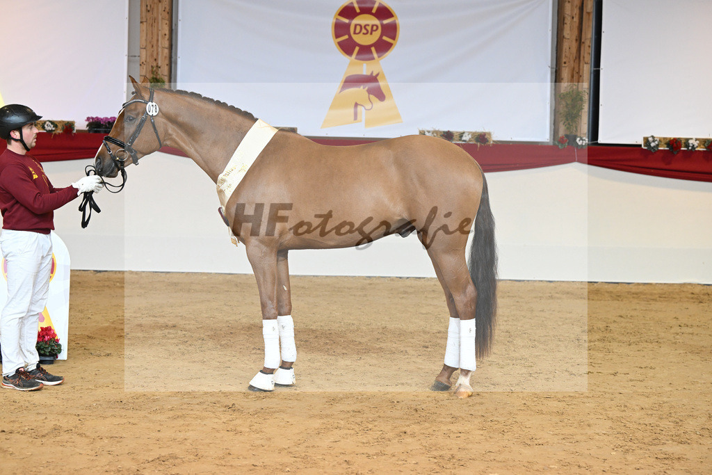 Kat-Nr. 78 Viva Gold_Casper u Eulich_1232195 | hf-fotografie - Realisiert mit Pictrs.com