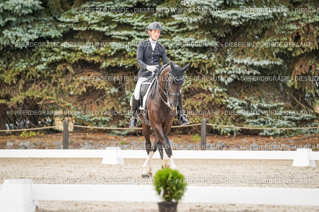 DSC08953 | Pferdegrafie