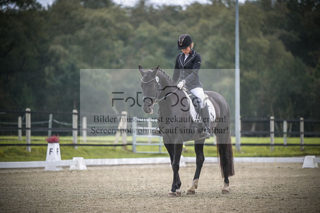 DOS_B352 | Entdecke hochwertige Reitturnierfotos von Foto Oger. Professionell, emotional und authentisch – jetzt Lieblingsmomente im Shop bestellen.Deutschlandweite Turnierfotografie. - Realisiert mit Pictrs.com