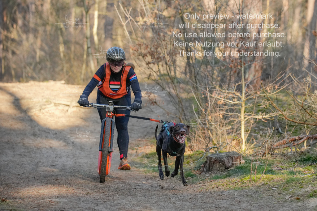 Sa_Scooter-23 | stephaniefillaphotographie - Realisiert mit Pictrs.com