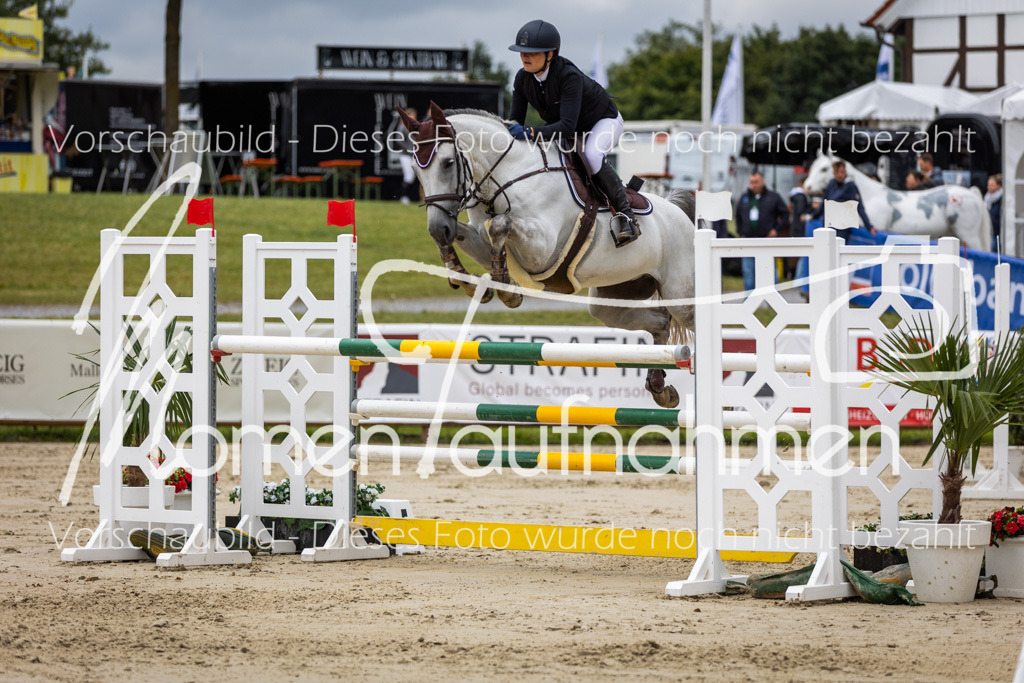 BHO-2PhSpr-M-5-2310 | MomenTaufnahmen Pferdesportfotos