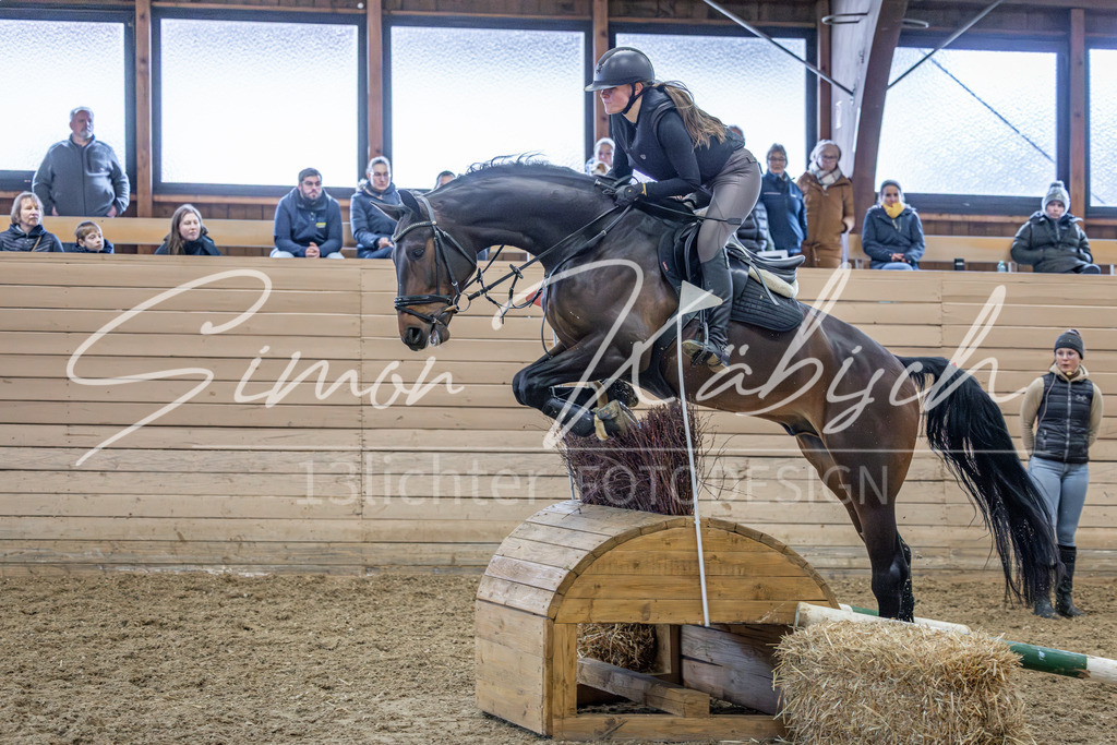 20260222-_3LI2026 | Tierfotografie Pferde, Hunde, Katzen, Haustiere.
Turnierfotografie Reitturniere, Reiten, Springreiten, Dressur in Hanau, dem Main-Kinzig-Kreis und dem Rhein-Main- Gebiet um Frankfurt