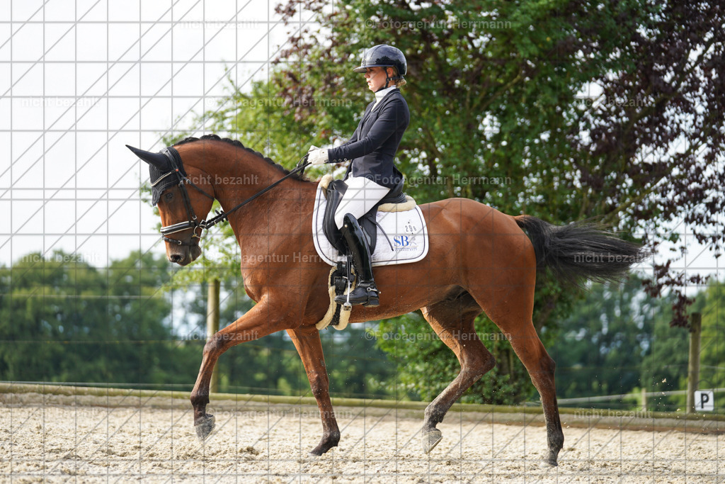 20230826-FAH04574 | Forstinning, 2023, Dressurturnier, Turniersportbilder, Turnierfotografen Bayern, Fotoagentur Herrmann, Reitsportfotografie, Turnierbilder