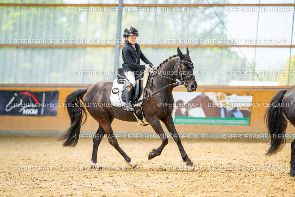 DSC08953 | Pferdegrafie