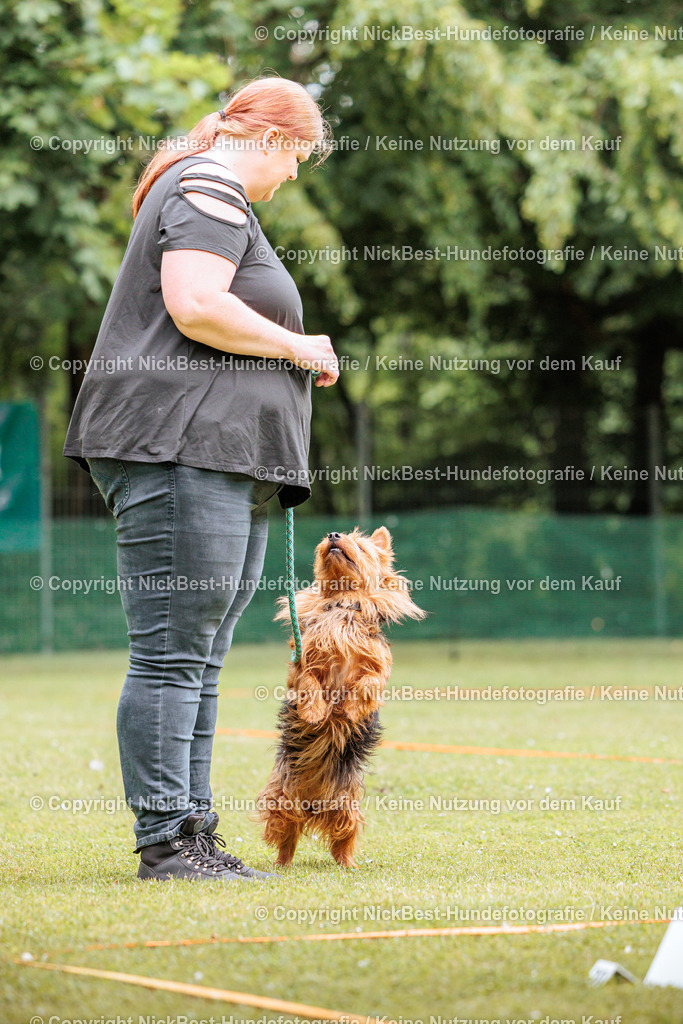 RO-Blumenthal-2026-Nickbest-Hundefotografie-2133 | Dein Hund! Dein Moment! Deine Erinnerungen! Hundefotografie in Bremen Blumenthal. Ich fange die besonderen Momente deines Vierbeiners ein – ob Indoor mit Blitzanlage oder in der freien Natur. Sicher dir dein Moment und dein Termin für eure Erinnerungen.