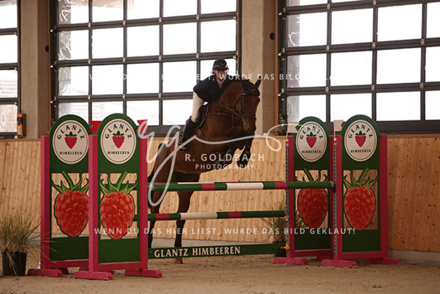 1J2A2272Lilli Plath_ Stakkato_s Diva_ Kn453_ Hohen Wieschendorf_ Glantz | Foto- und Videografie für alles rund ums Pferd. Hochwertige Bilder und Videos vom Spring- und Dressurreiten, Voltigieren & mehr. Jetzt aktuelle Veranstaltungen und Preise im Shop ansehen. - Realisiert mit Pictrs.com