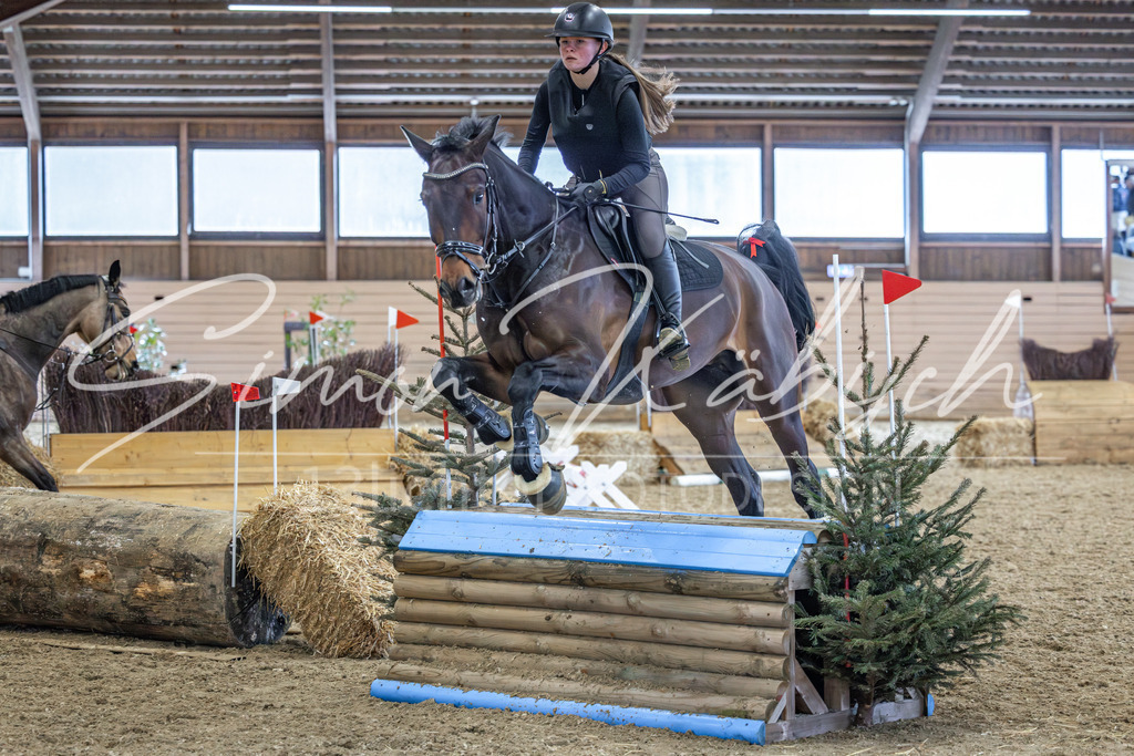 20260222-_3LI1931 | Tierfotografie Pferde, Hunde, Katzen, Haustiere.
Turnierfotografie Reitturniere, Reiten, Springreiten, Dressur in Hanau, dem Main-Kinzig-Kreis und dem Rhein-Main- Gebiet um Frankfurt