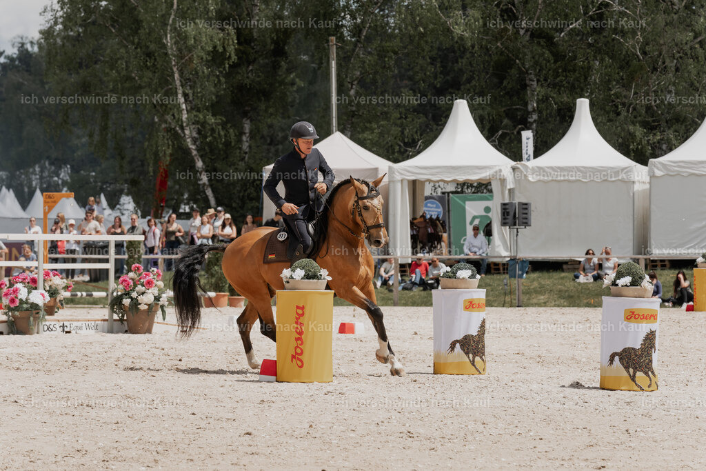 WE_ST_Stoib_311_PI2025_1193 | Pferd International München 2025