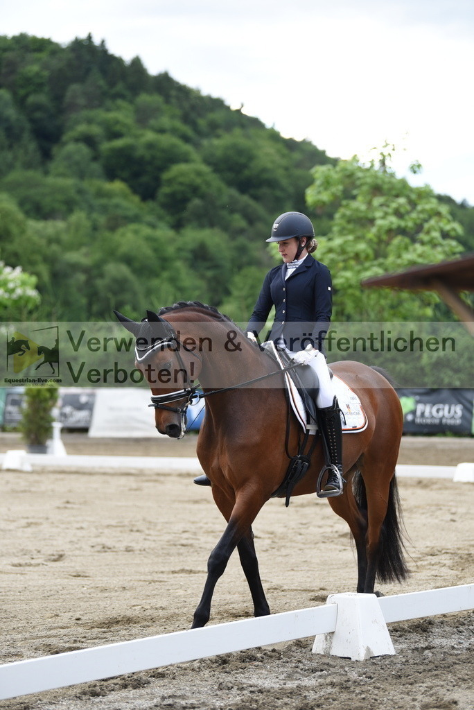 DSC_6256 | equestrian-live-com