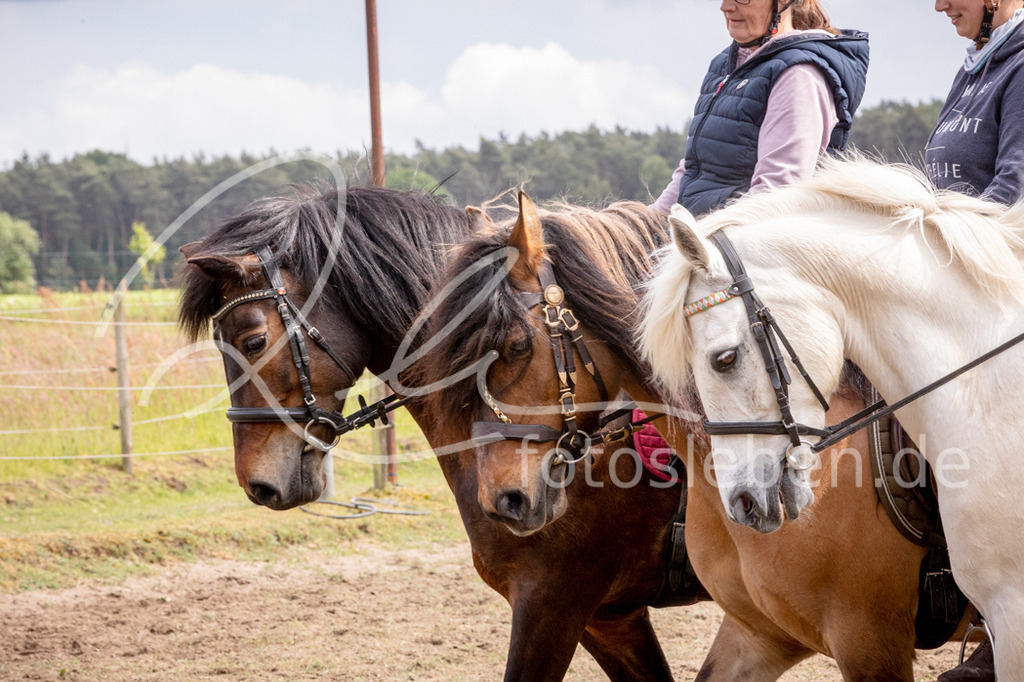846A0957 | fotosleben - Realisiert mit Pictrs.com