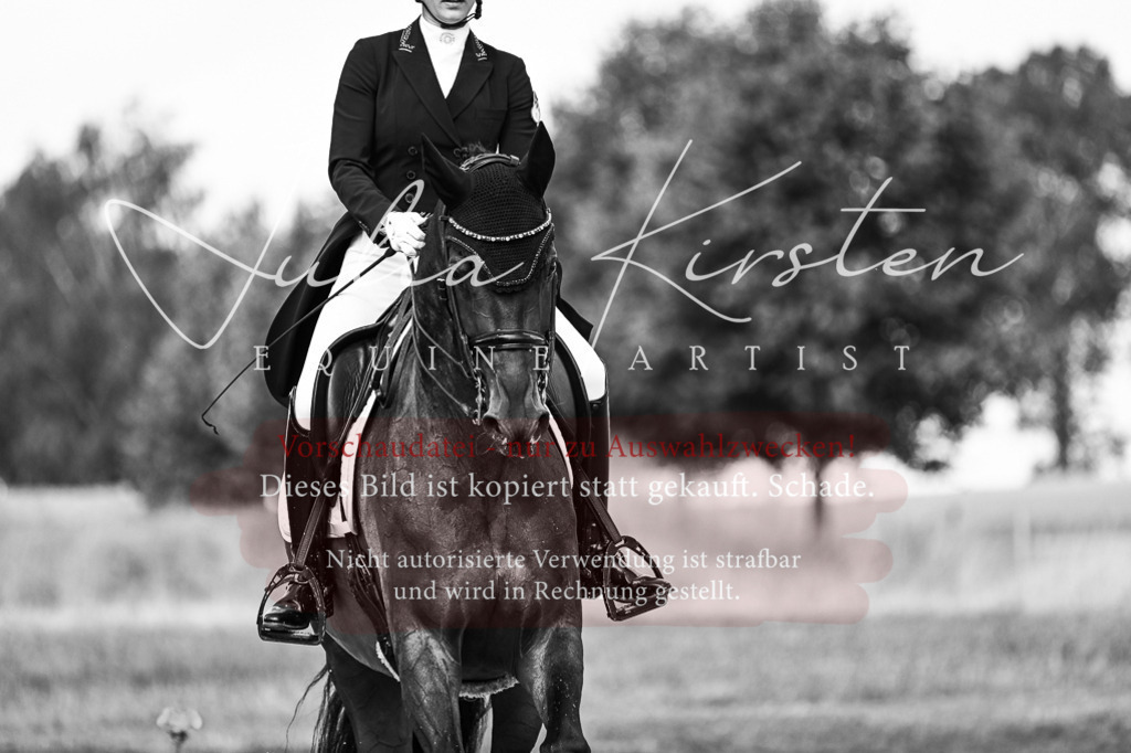 DSC_3093 | Pferde- und Turnierfotografie in Westsachsen. Pferdeportraits, Auftragszeichnungen und intuitive Kunst.