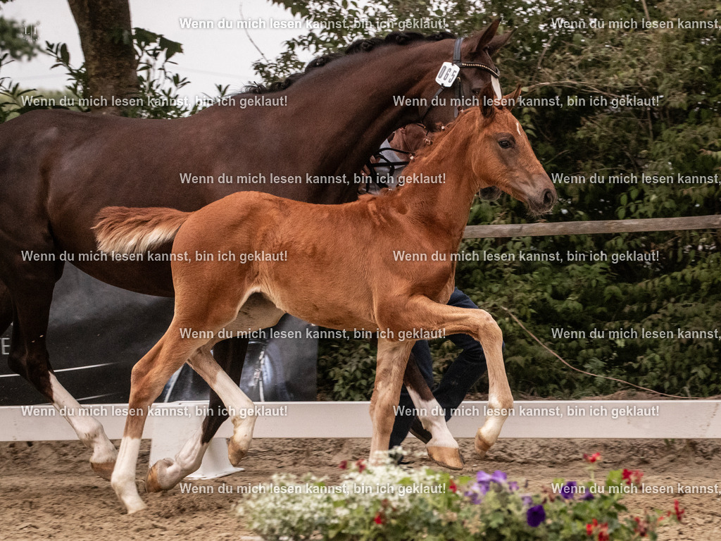 A10I6712 | photographylinaismer - Realisiert mit Pictrs.com