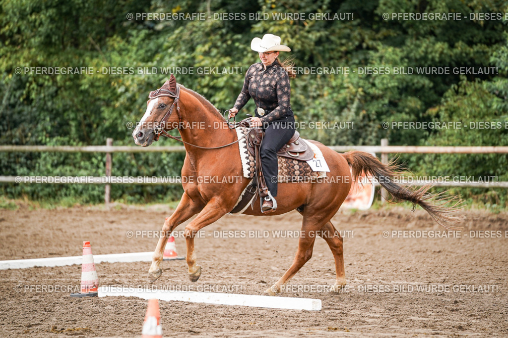 DSC04028 | Pferdegrafie