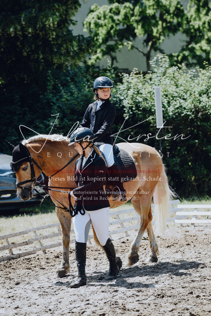 DSC_2253 | Pferde- und Turnierfotografie in Westsachsen. Pferdeportraits, Auftragszeichnungen und intuitive Kunst.