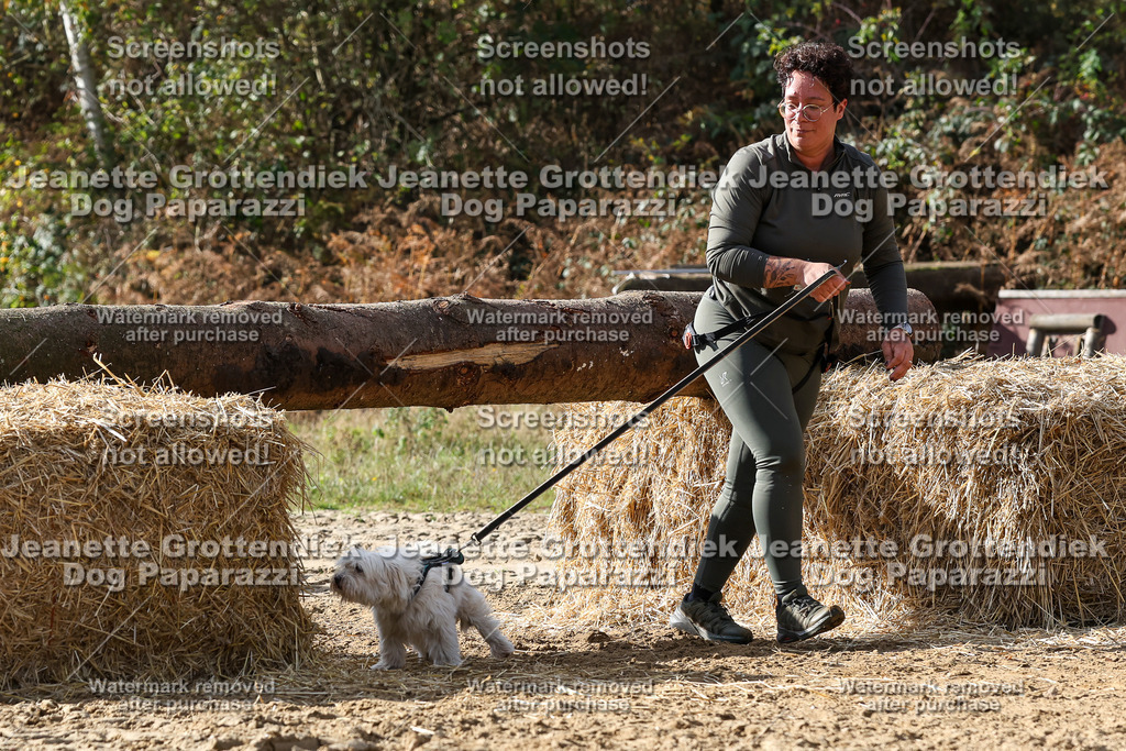 Dog Paparazzi - Strongdog 10-25-5558 | Dog Paparazzi Jeanette Grottendiek Fotografie & Videografie - Realisiert mit Pictrs.com