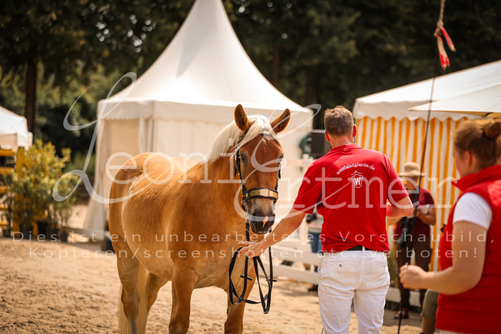 4.Sa00076 | Leoni Ertmer Photography - Realisiert mit Pictrs.com