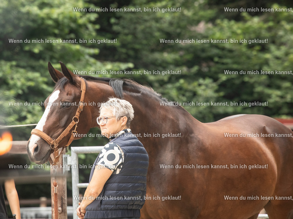 598A6524 | photographylinaismer - Realisiert mit Pictrs.com