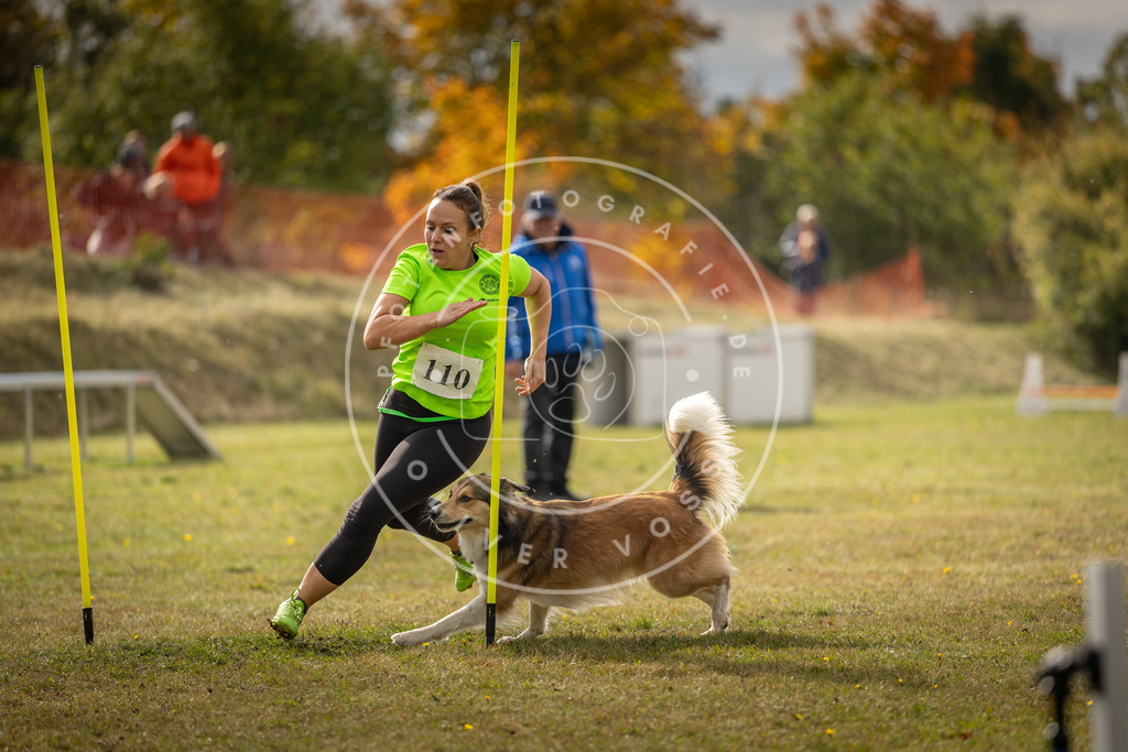 Pfotenfotografie_DV3A7185 | Hundefotografie, Tierfotograf, Pfotenfotografie, Fotoshooting Hund, Hunde Portrait, Hundesport, Hundeportraits, Heideshooting, Hunde, Sportfotograf, Hundefotograf, Turnierhundsport, THS,  - Realisiert mit Pictrs.com