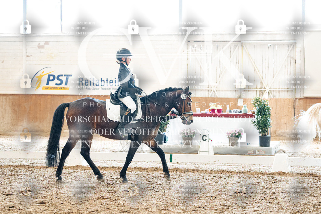 CK900025 | Turnierfotografie Pferdefotografie Trier Rheinland-Pfalz Pferdesport Reitsport Tierfotografie Sportfotografie Pferdevideo Pferdevideografie Equestrianvideography equestrianphotography  - Realized with Pictrs.com