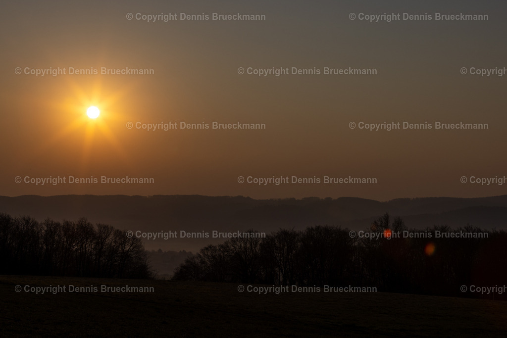 Sonnenstern | Dennis-Brueckmann-Fotografie - Realisiert mit Pictrs.com