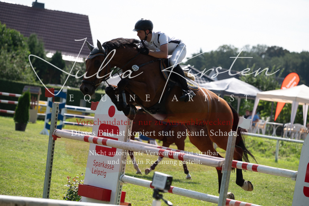 DSC_0932 | Pferde- und Turnierfotografie in Westsachsen. Pferdeportraits, Auftragszeichnungen und intuitive Kunst.