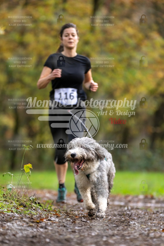 MompixPhotography_Bischwiller23_Canicross-94 | PayLife