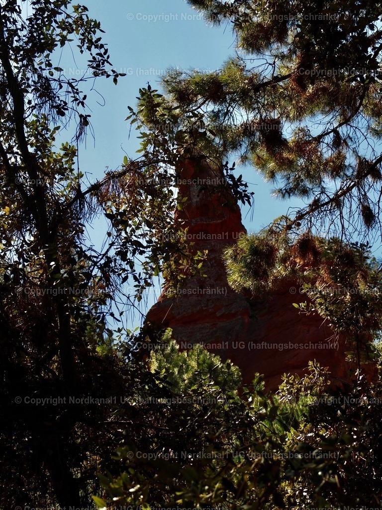 IMG_2951 | OLYMPUS DIGITAL CAMERA          - Realisiert mit Pictrs.com