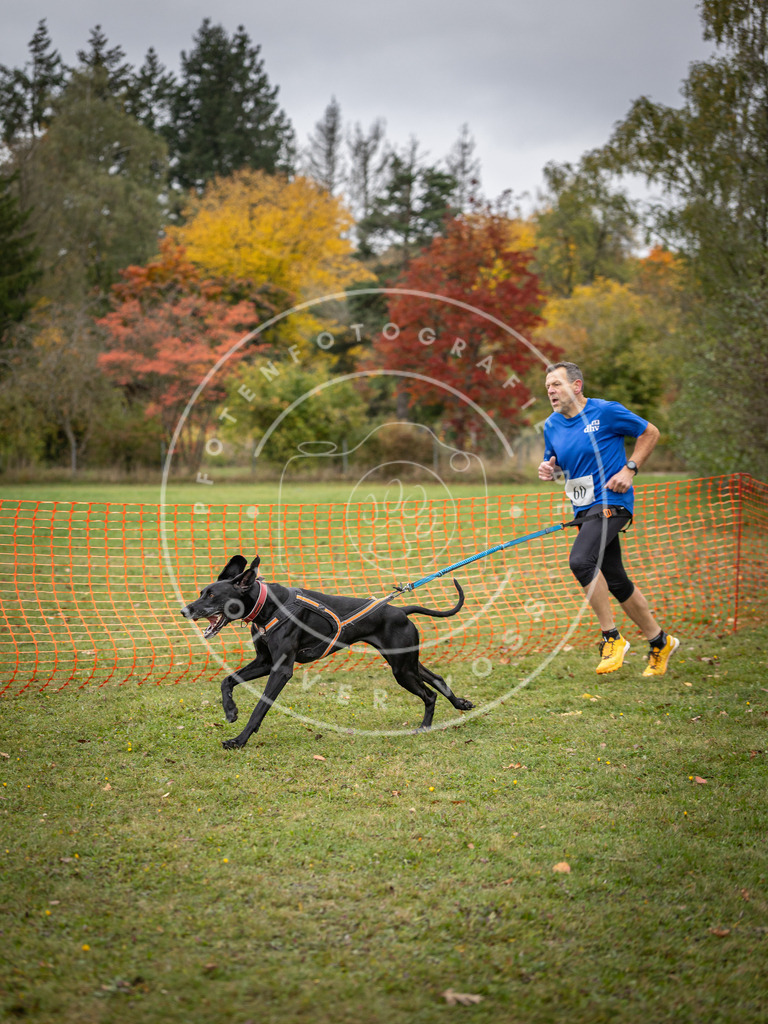Pfotenfotografie_DV3A2659 | Hundefotografie, Tierfotograf, Pfotenfotografie, Fotoshooting Hund, Hunde Portrait, Hundesport, Hundeportraits, Heideshooting, Hunde, Sportfotograf, Hundefotograf, Turnierhundsport, THS,  - Realisiert mit Pictrs.com