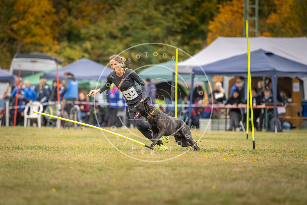 Pfotenfotografie_DV3A4231 | Hundefotografie, Tierfotograf, Pfotenfotografie, Fotoshooting Hund, Hunde Portrait, Hundesport, Hundeportraits, Heideshooting, Hunde, Sportfotograf, Hundefotograf, Turnierhundsport, THS,  - Realisiert mit Pictrs.com