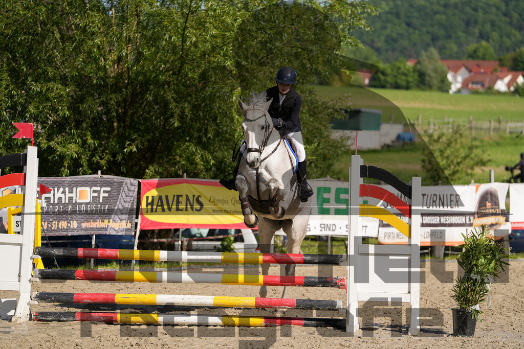 DSC02050 | Julian Held Fotografie - Realisiert mit Pictrs.com