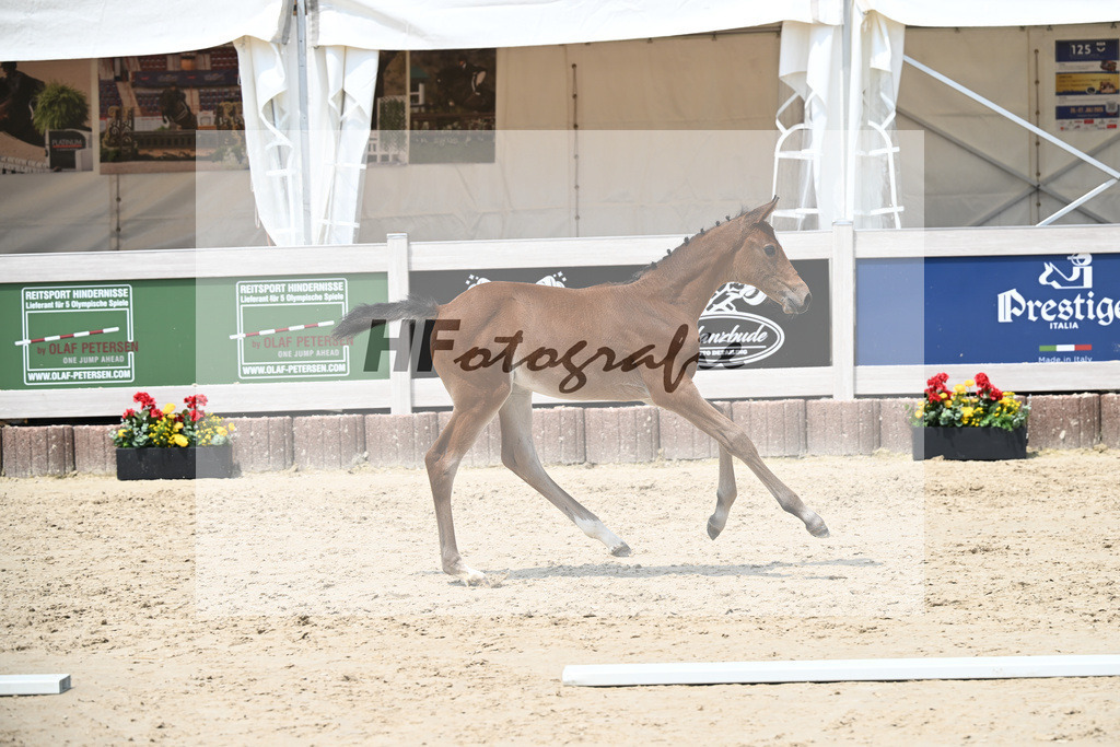 Cardento x Heartbreaker_SF_Wagner_12250874 | hf-fotografie - Realisiert mit Pictrs.com