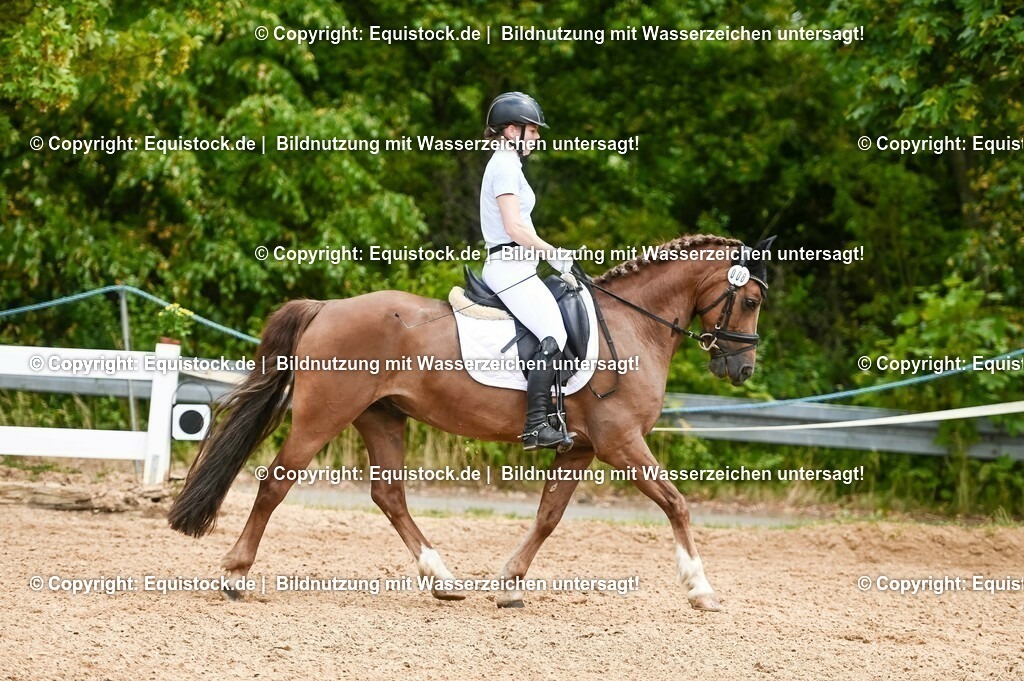 20230715_05_Dressurprüfung Kl.A++_0212 | equistock