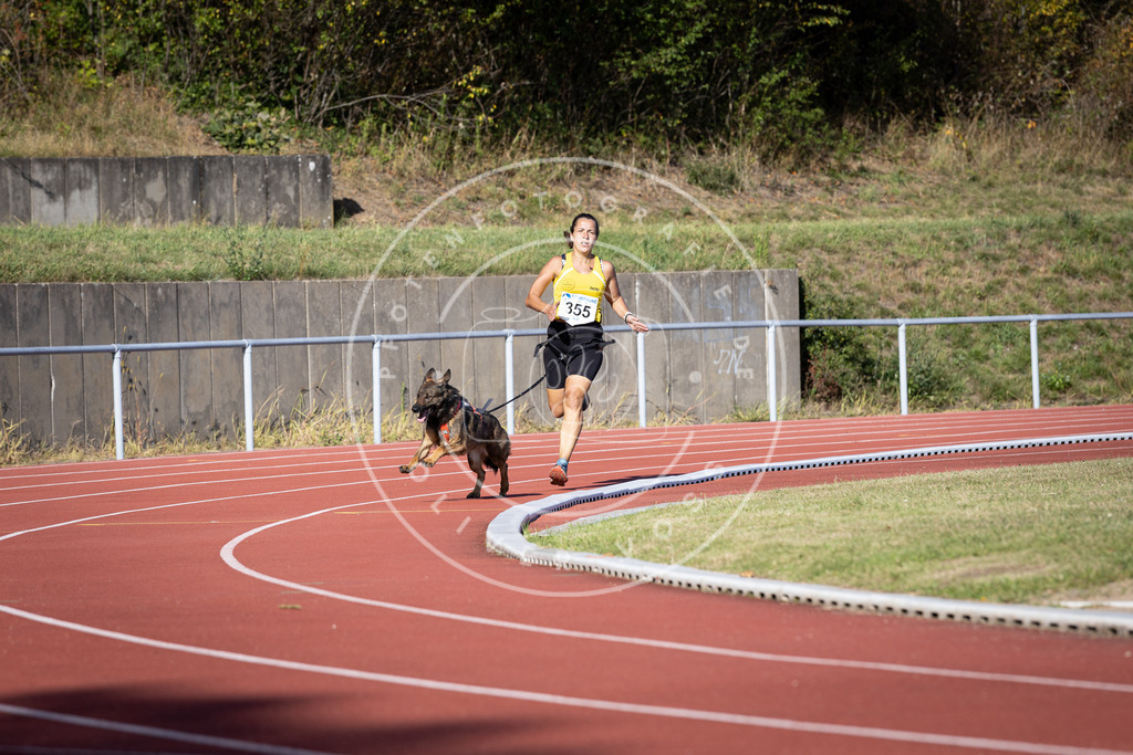 Pfotenfotografie_DV3A9739 | Hundefotografie, Tierfotograf, Pfotenfotografie, Fotoshooting Hund, Hunde Portrait, Hundesport, Hundeportraits, Heideshooting, Hunde, Sportfotograf, Hundefotograf, Turnierhundsport, THS,  - Realisiert mit Pictrs.com