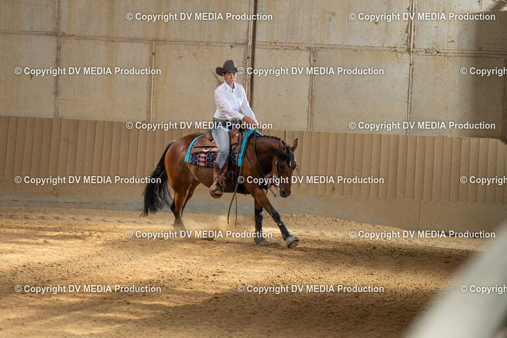 DSC00009 | dv-media-shop - Realisiert mit Pictrs.com