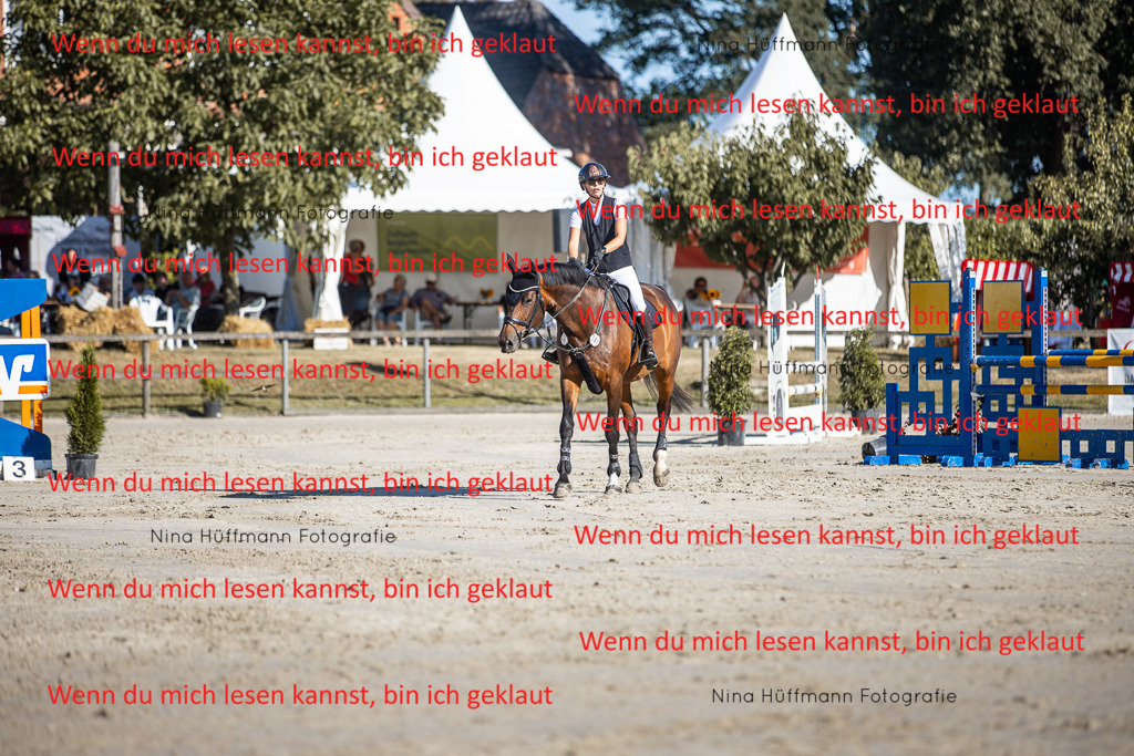 BK1A7437 | Turnierbilder Turnierfotos Nina Hüffmann Turnierfotografie Pferdefotografie Tierzeichnung Haustierzeichnung Pferdezeichnung Hundezeichnung Videograf  - Realisiert mit Pictrs.com