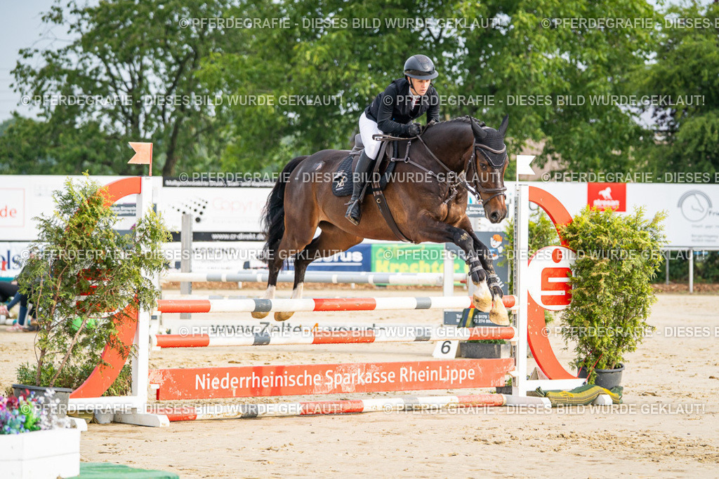 DSC08245 | Pferdegrafie