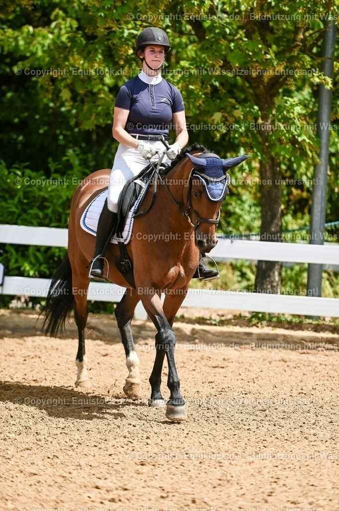 20230715_05_Dressurprüfung Kl.A++_0078 | equistock