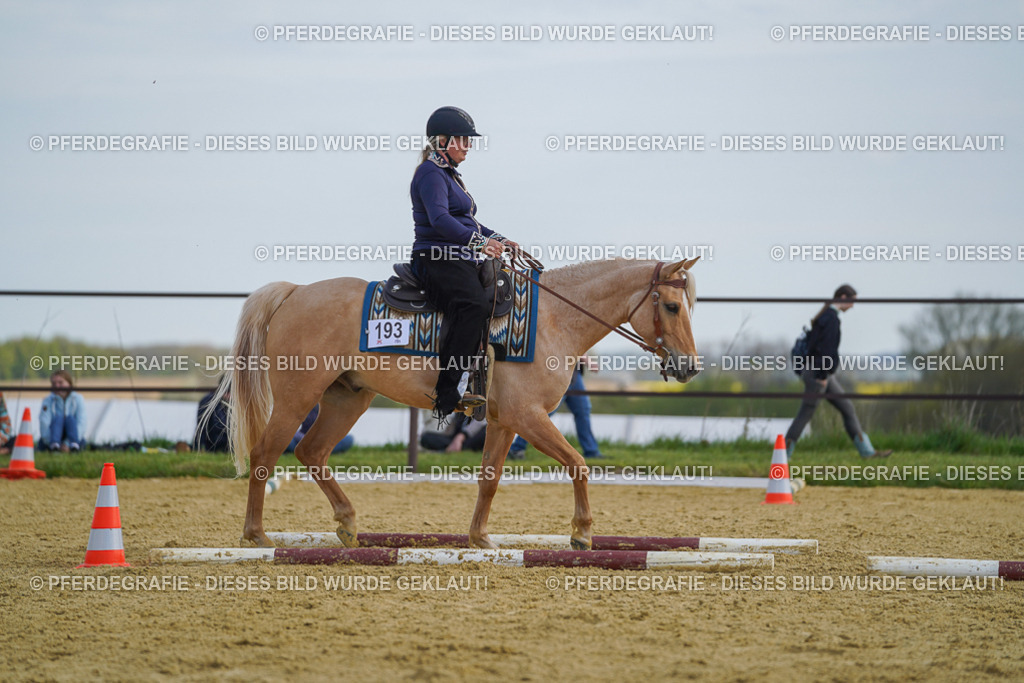 DSC05121 | Pferdegrafie