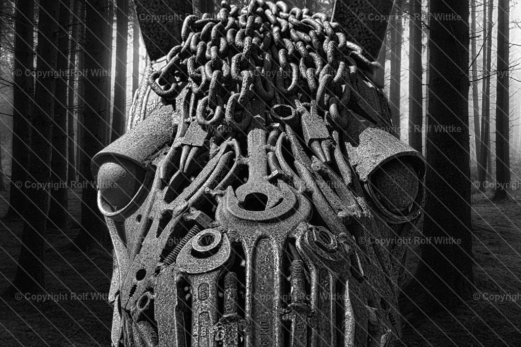 1D3A6781 | Rolf Wittke  - Realisiert mit Pictrs.com