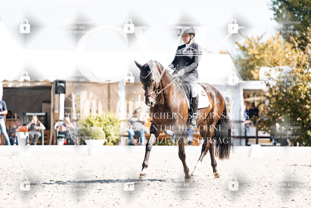 CK903518 | Turnierfotografie Pferdefotografie Trier Rheinland-Pfalz Pferdesport Reitsport Tierfotografie Sportfotografie Pferdevideo Pferdevideografie Equestrianvideography equestrianphotography  - Realisiert mit Pictrs.com
