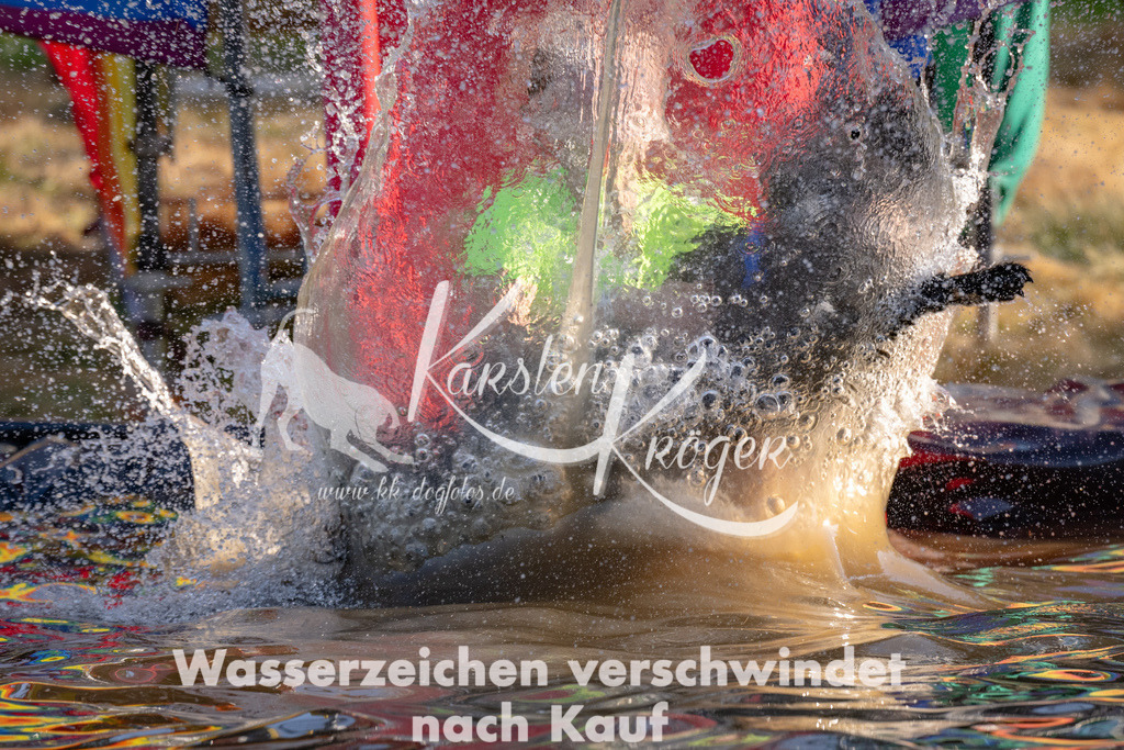 1754_ZZ92916 | kk-dogfotos