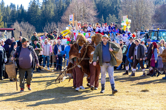 Bärentreiben in Steuerberg | Bildershop von pixelworld.at - Realisiert mit Pictrs.com