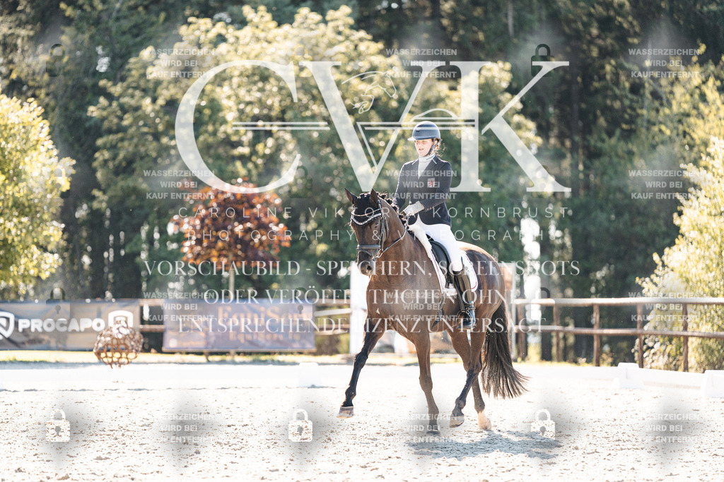 CK905577 | Turnierfotografie Pferdefotografie Trier Rheinland-Pfalz Pferdesport Reitsport Tierfotografie Sportfotografie Pferdevideo Pferdevideografie Equestrianvideography equestrianphotography  - Realisiert mit Pictrs.com