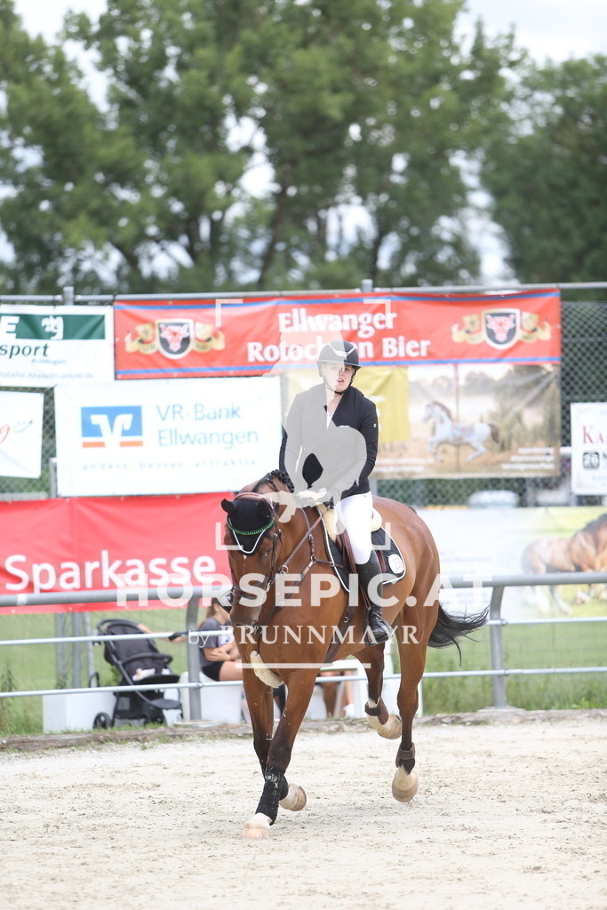 DL2Q1512 | Willkommen bei Brunnmayr - Design & Fotografie – Ihrem Spezialisten für Reitturniere und Pferdeveranstaltungen in Oberösterreich, Salzburg und Bayern! Seit über 17 Jahren sind wir leidenschaftlich dabei.