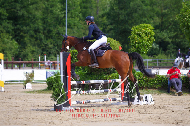 DKP41402 | Turniersportfotografie; Pferdefotografie; Dressurfotografie