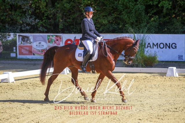 DKP41803 | Turniersportfotografie; Pferdefotografie; Dressurfotografie