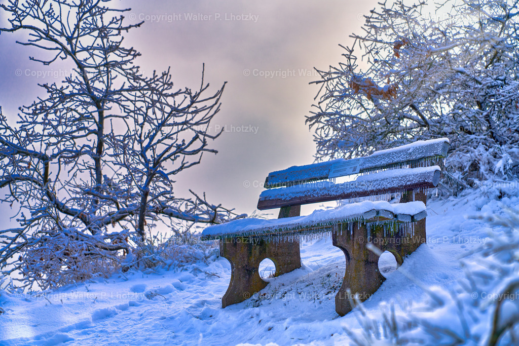 LHO04545 | wlstudio - Realisiert mit Pictrs.com